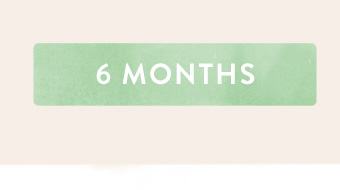Download 6 month gift certificate