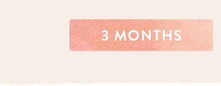 Download 3 month gift certificate