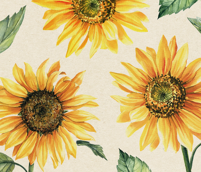 Photo for the journal post: Sunflowers: care tips and sharing your sunshine
