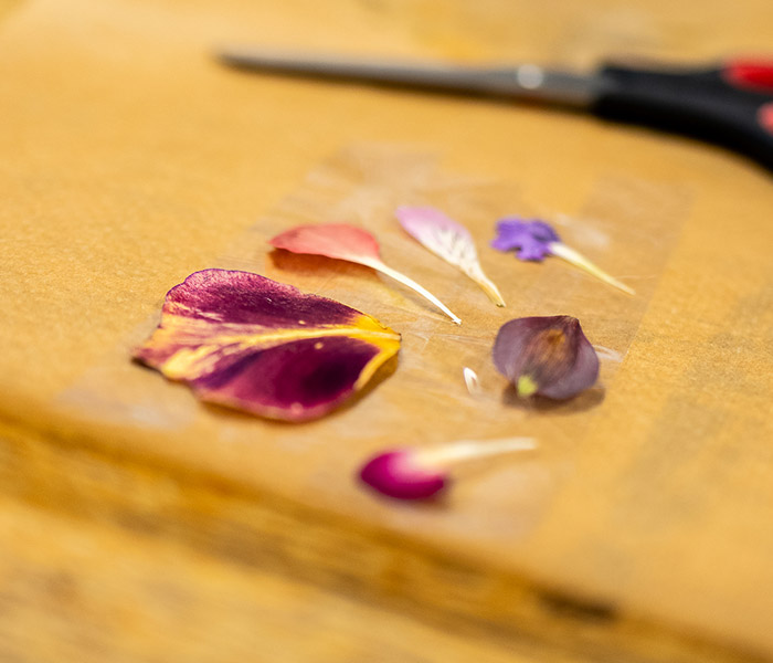 Photo for the journal post: Floral crafts: pressed flower stickers