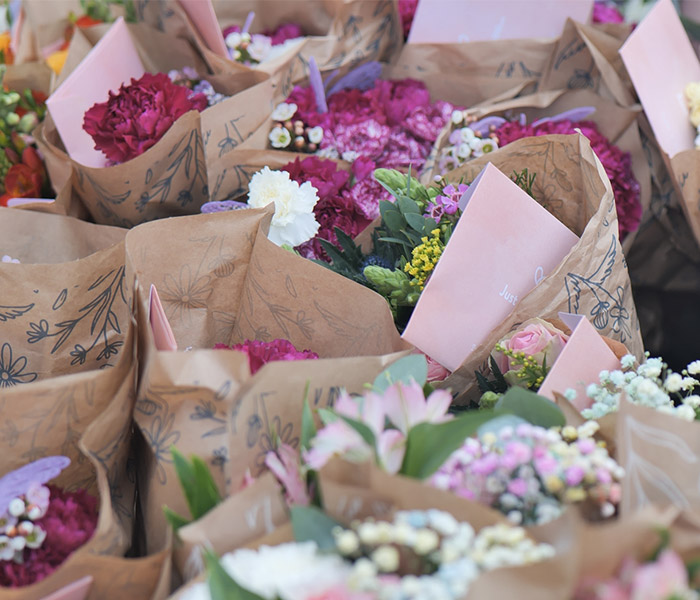 Photo for the journal post: An open letter from Dan and Dani