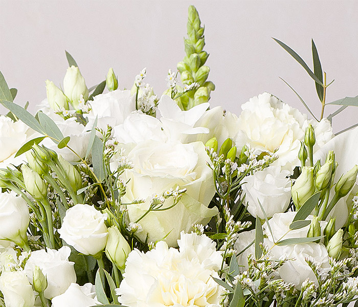 Photo for the journal post: Celebrate the colour of the year!