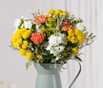 Photo for the journal post: What do you mean? Chrysanthemums