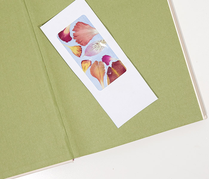 Photo for the journal post: Floral crafts: pressed flower bookmarks