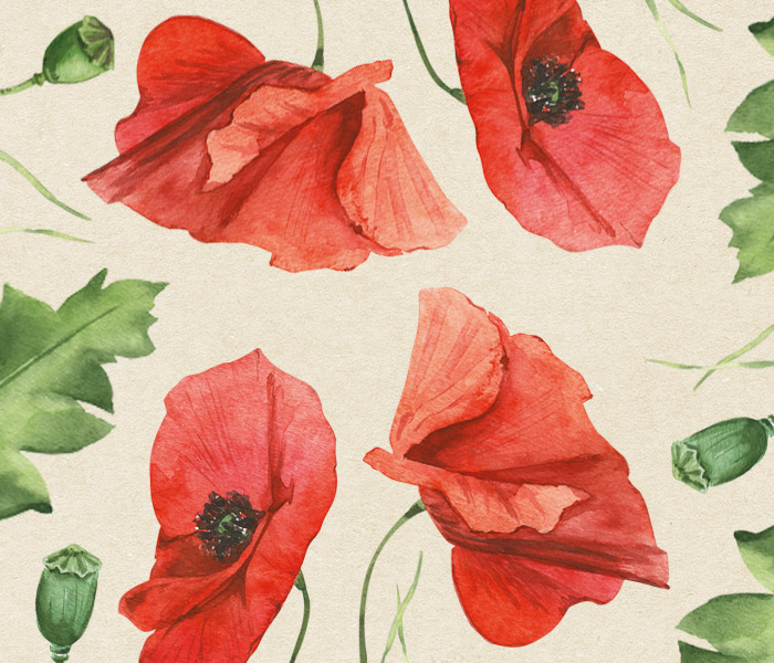 Photo for the journal post: Add a pop of colour to your garden…
