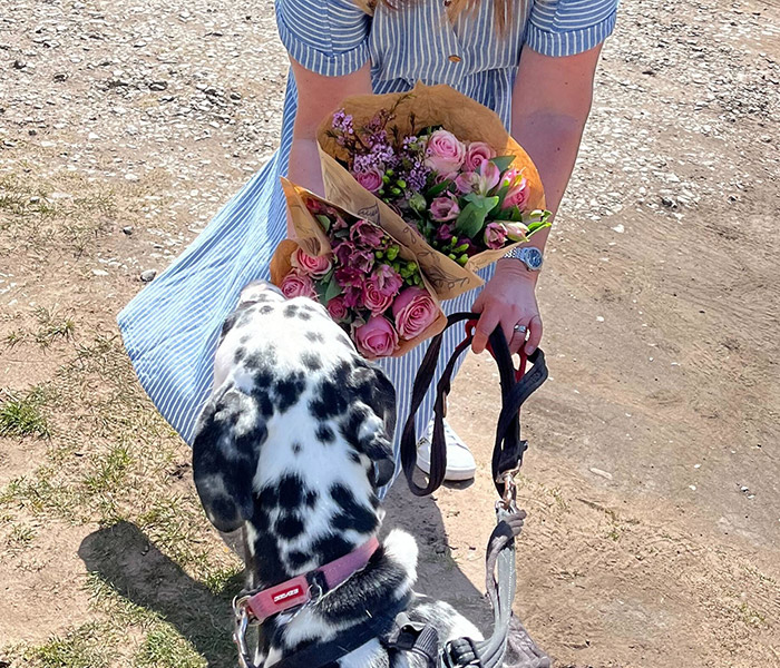 Photo for the journal post: Pet-friendly flowers for your furry friends  