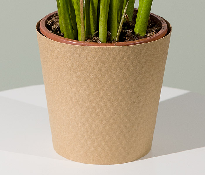 Photo for the journal post: Potted perfection: introducing our new pot sleeve!