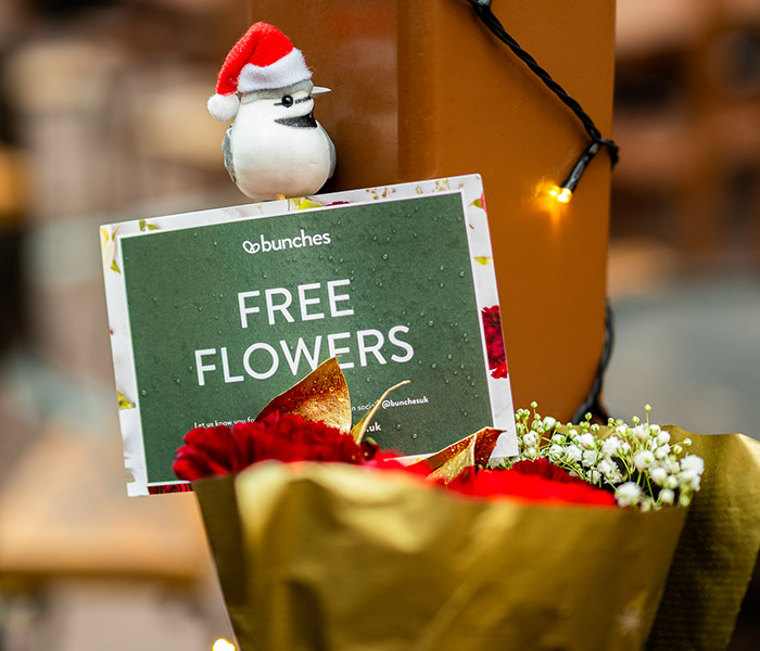 Photo for the journal post: Bunches of Joy: Christmas edition!