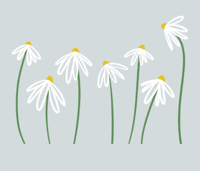 Photo for the journal post: Grief Awareness Week 2025