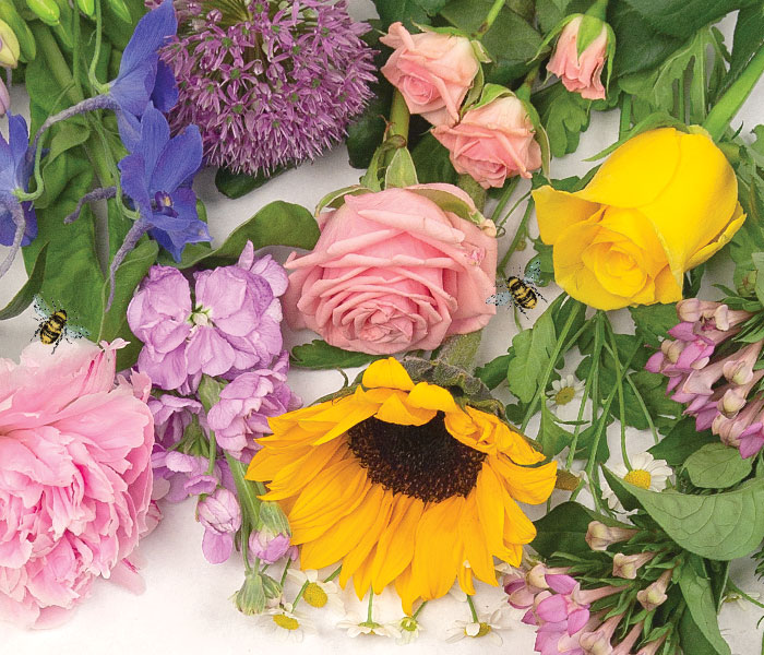 Photo for the journal post: Keep your blooms happy in the heat