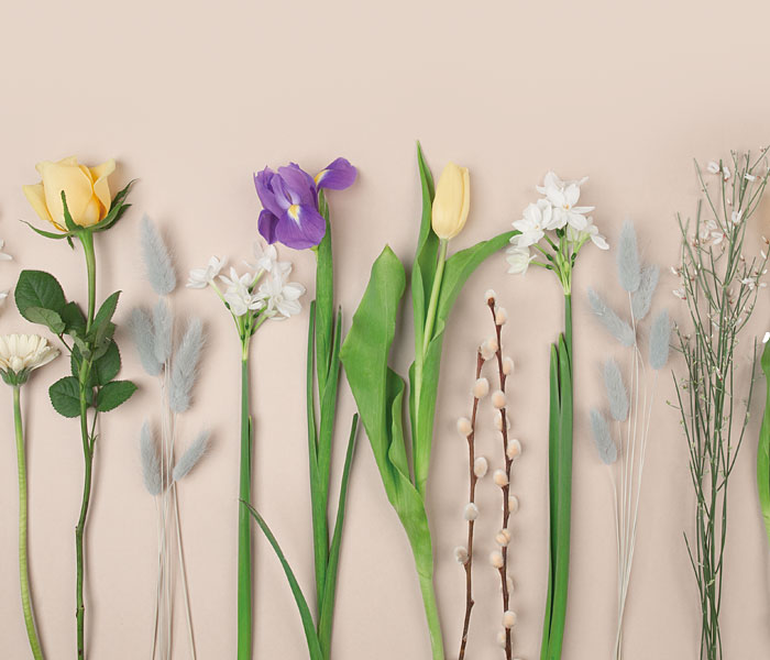 Photo for the journal post: Bloom into the New Year!