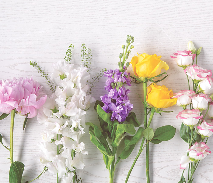 Photo for the journal post: Spread Floral Cheer - Refer a Friend