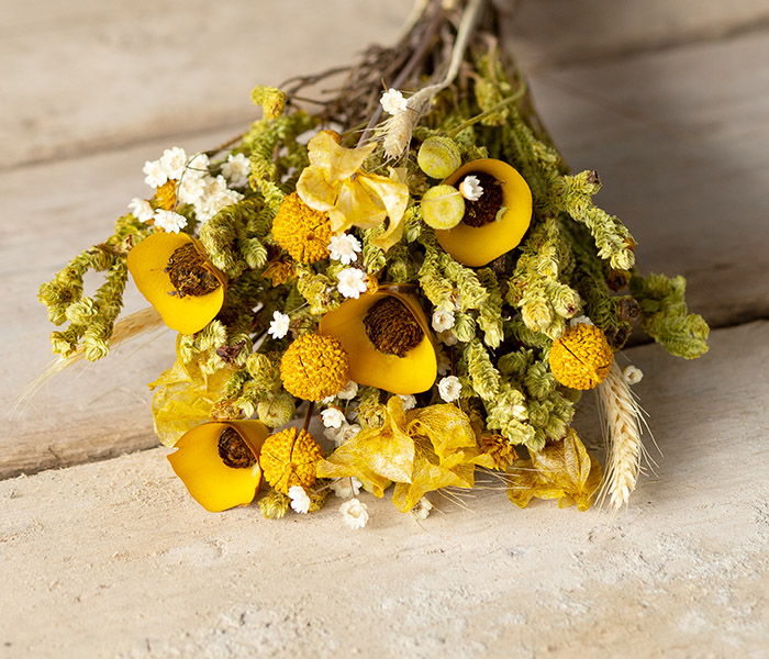Photo for the journal post: Caring for your dried blooms