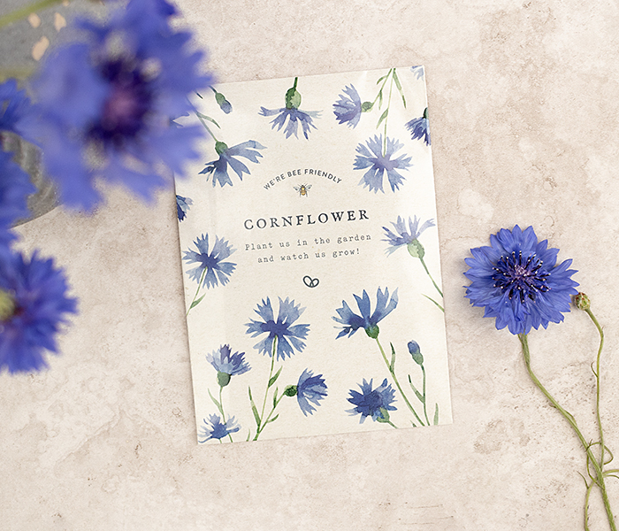 Photo for the journal post: Plant your wildflower garden today…