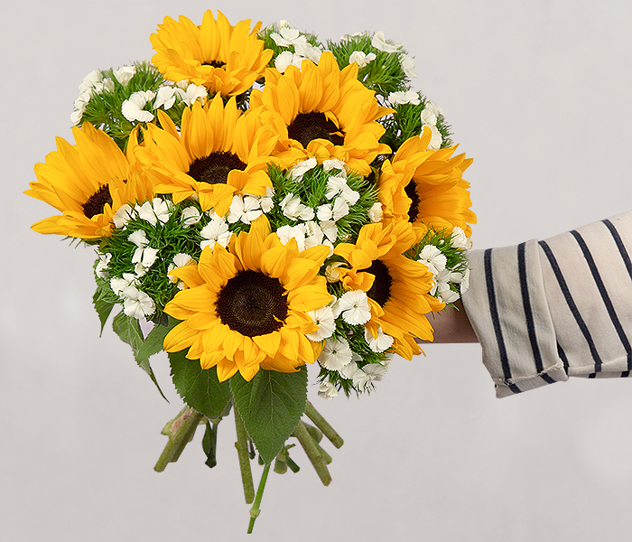 Photo for the journal post: Posy Points: Important Update