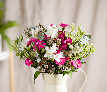 Photo for the journal post: What's going on with... Freesias