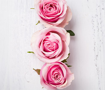 Photo for the journal post: What do you mean? Roses