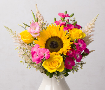 Photo for the journal post: Summer is here, and so is our new range! 