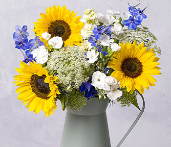 Photo for the journal post: What do you mean? Sunflowers
