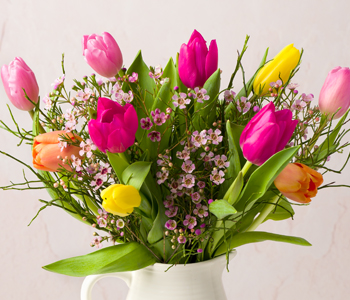 Photo for the journal post: What's going on with... Tulips