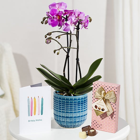 Cherry Blossom Bouquet | Flowers By Post | Bunches