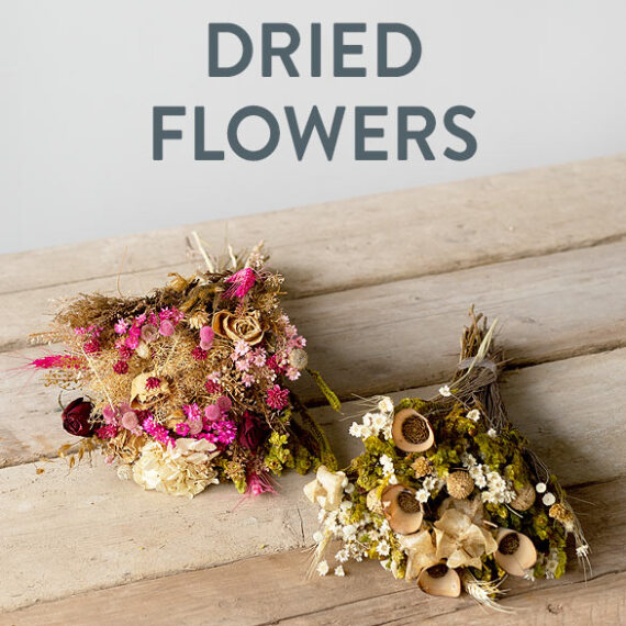 Image of Dried Flowers