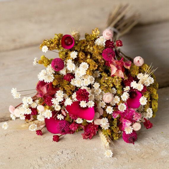 Image of Hot Pink Dried Posy