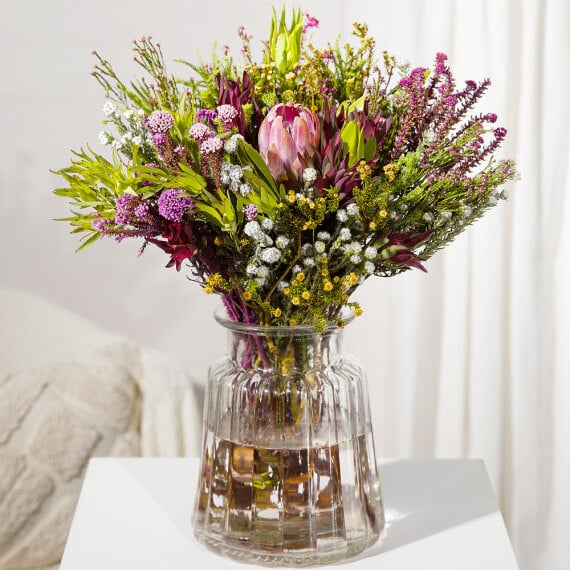 Cape Flora