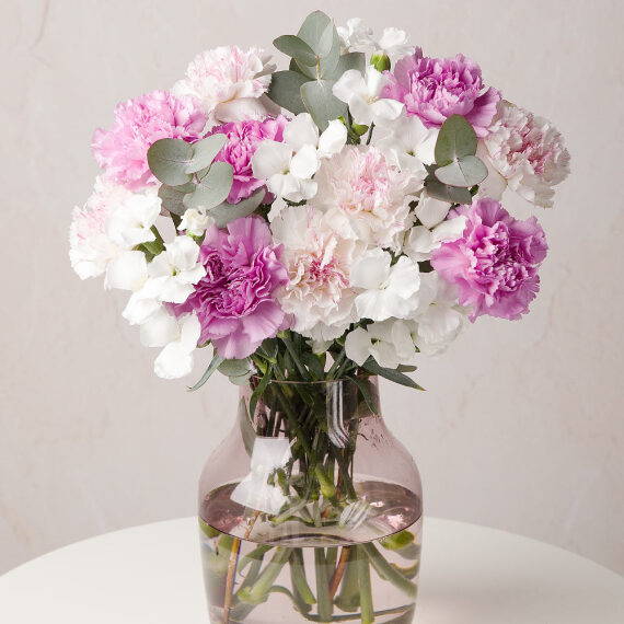 Click to view product details and reviews for Carnation Celebration.