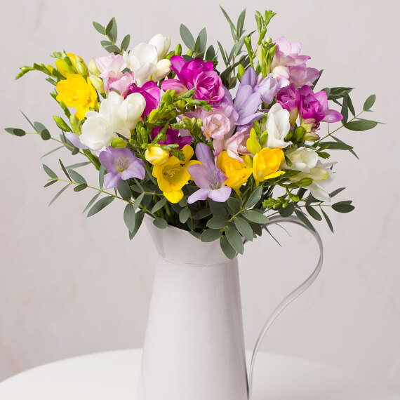 Spring Freesias image