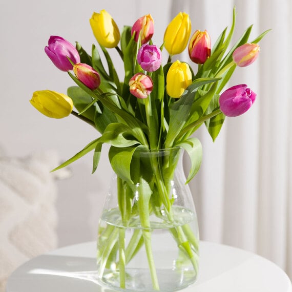 Spring Tulips image