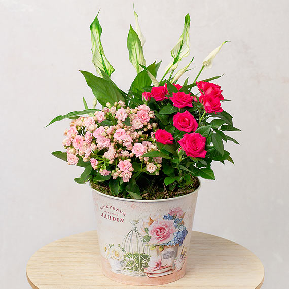 Pink Flower Planter image