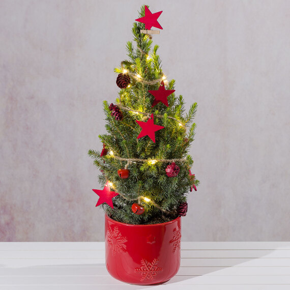 Decorated Festive Christmas Tree image