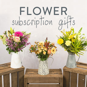 Hand Tied 6 Month Flower Gift image