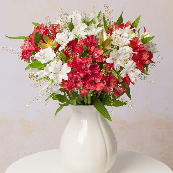 Image of Christmas Alstroemeria
