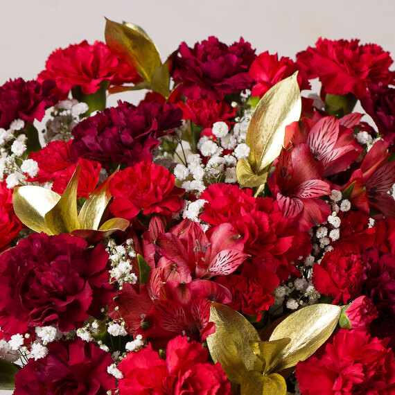 Festive Wishes XL Festive Wishes XL