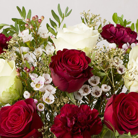 Winter Roses Winter Roses