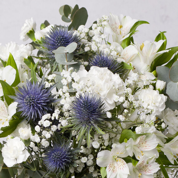 Winter Night Winter Night