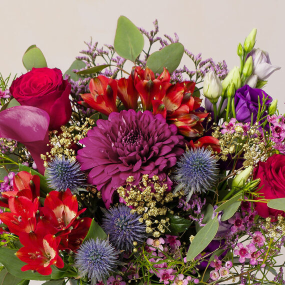 Velvet Dreams Velvet Dreams