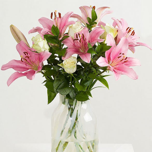 Image of Rose & Lily Chic