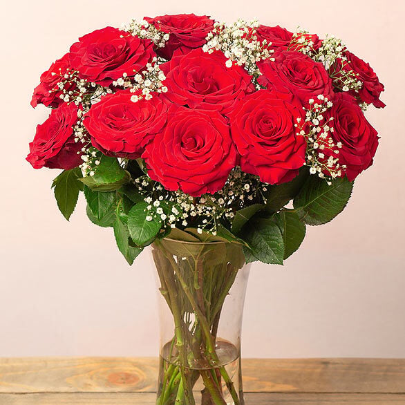 Image of 12 Red Roses & Gypsophila