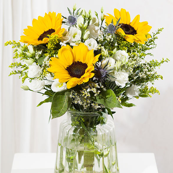 Sunflower Splendour