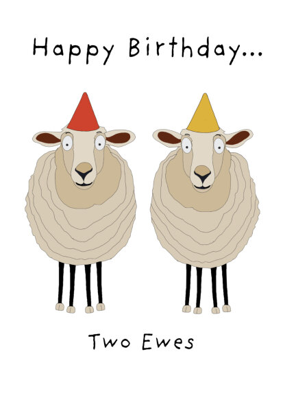 Image of Two ewes