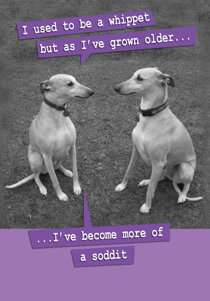 I Used to be a Whippet...