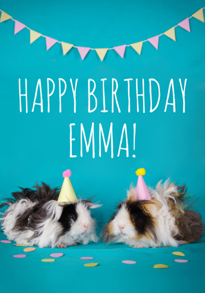Guinea Pig Birthday
