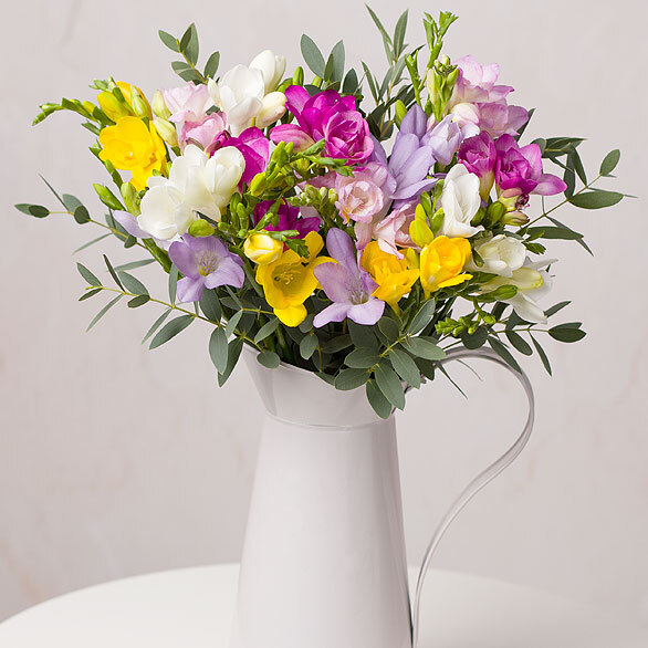 Summer Freesias Letterbox