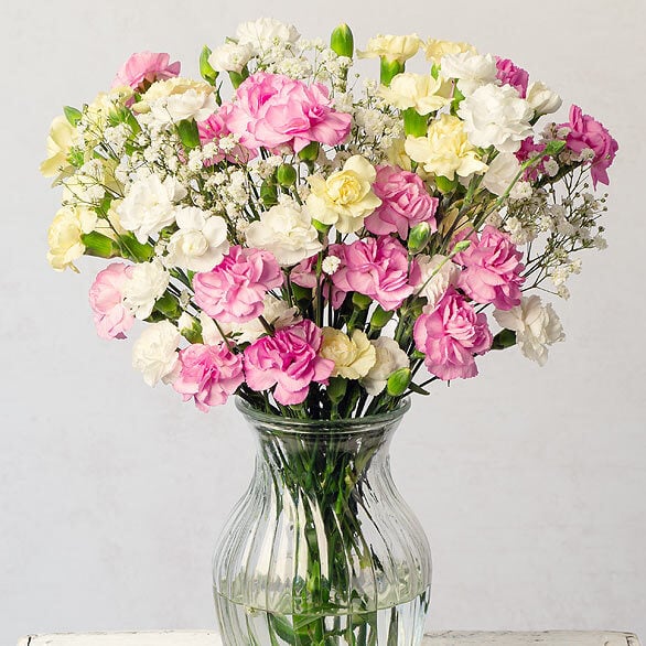 Spray Cascade Letterbox