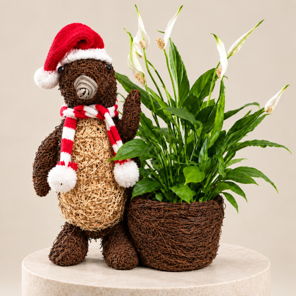 Image of Festive Penguin Planter