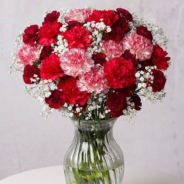 Christmas Cheer Large