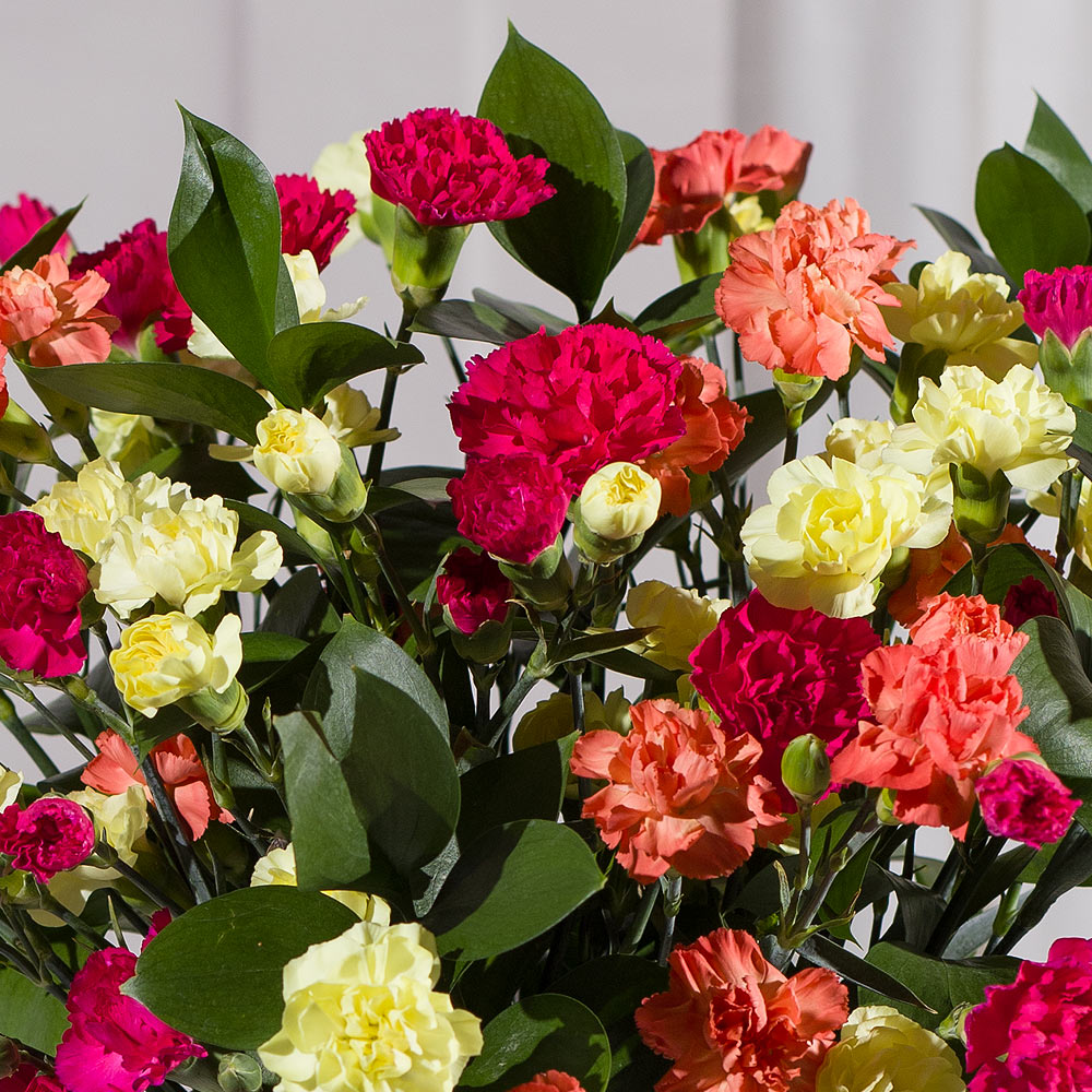 Photograph 2 of Autumn Warmth Grande